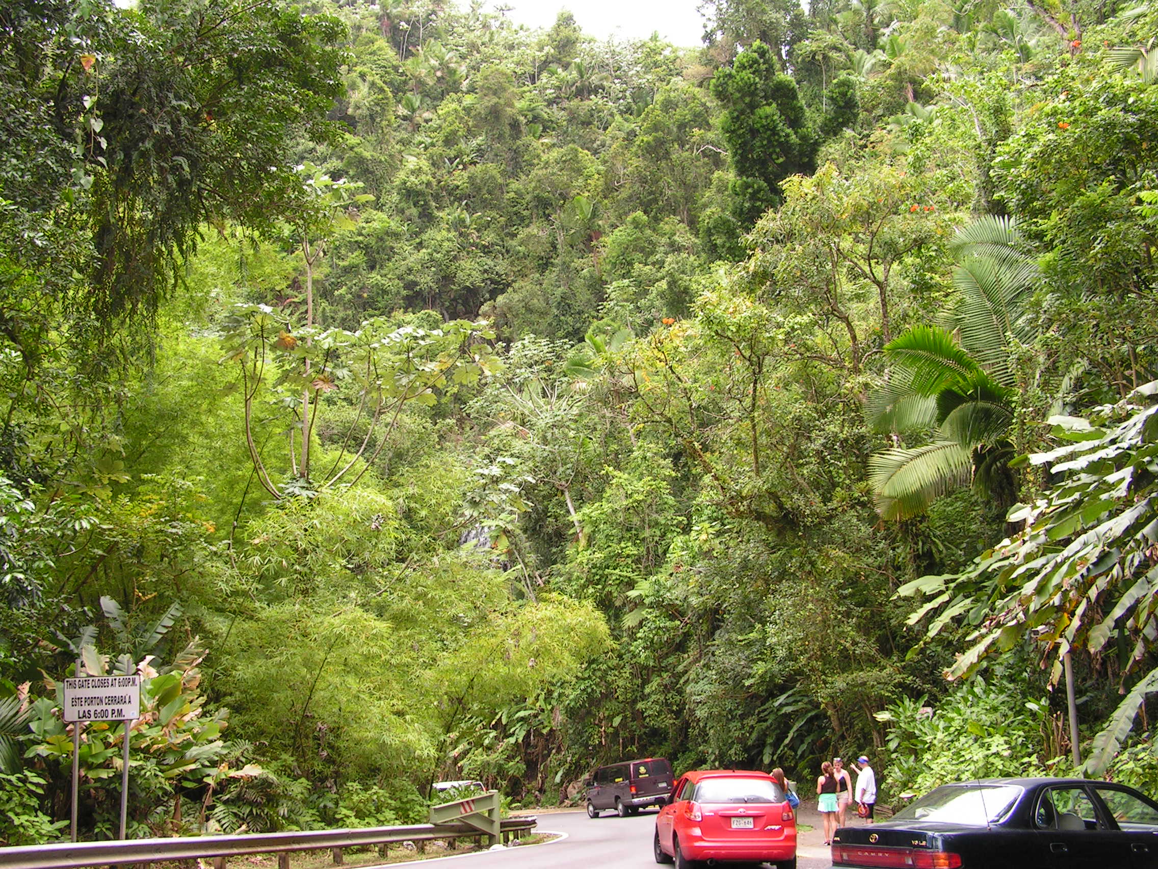 ./2005/Puerto Rico/Part 1/PICT0050.JPG